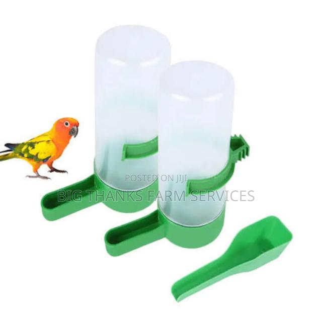 Parrot, Pigeon Drinker/Feeders · Photo 1