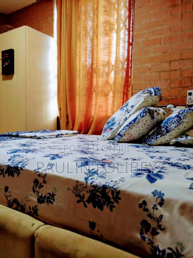 Furnished 2bdrm Apartment in Dg Property, Sowutwuom for rent · Photo 8