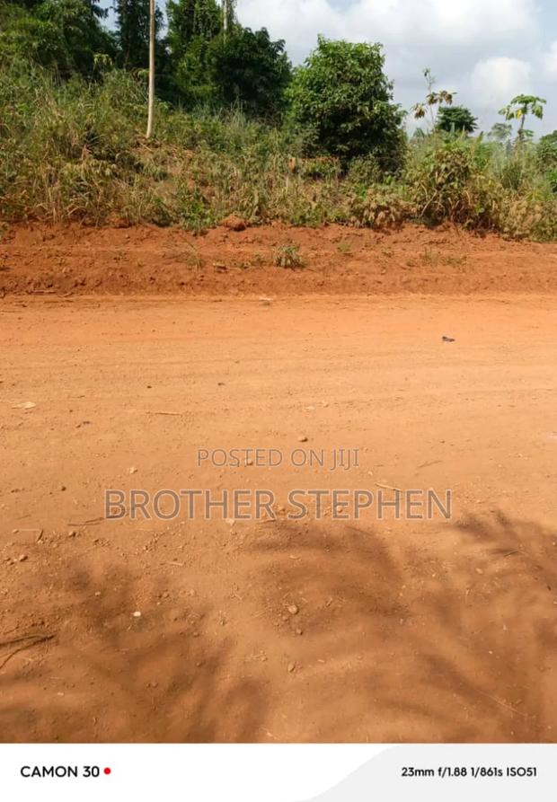 Registered Farmland for Sale at Asamankese.