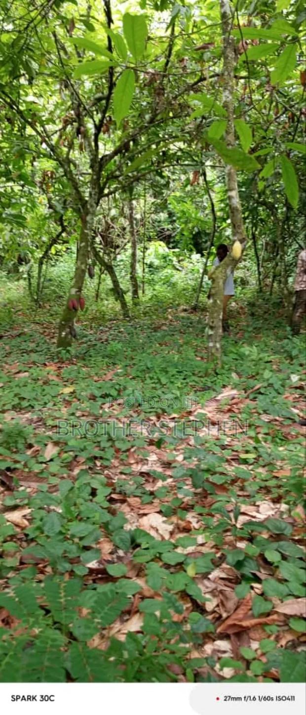 25,000 Acres of Registered Farmland for Sale at Asamankese. · Photo 2