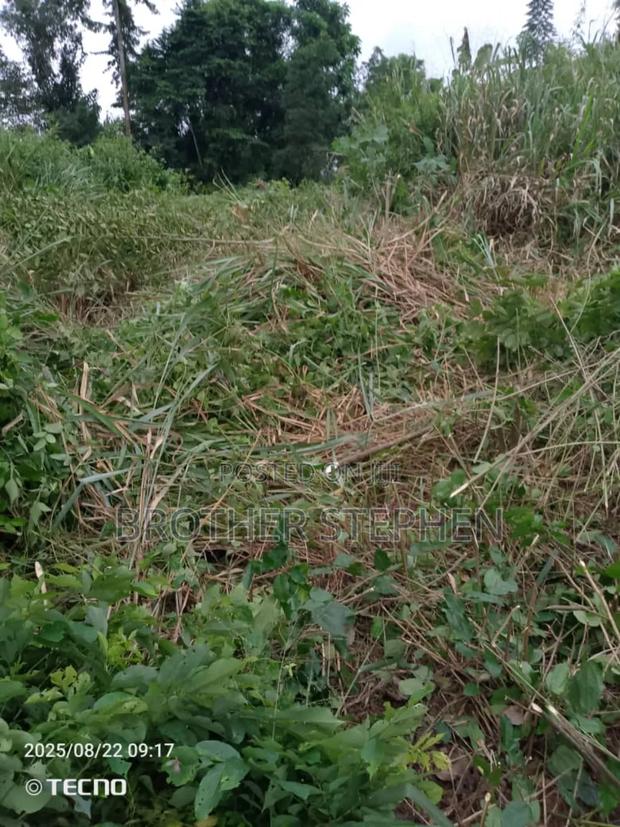 25,000 Acres of Registered Farmland for Sale at Asamankese. · Photo 3