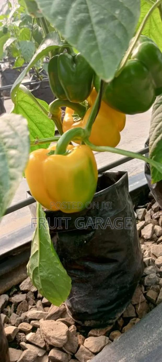 Deking Veggies · Photo 2