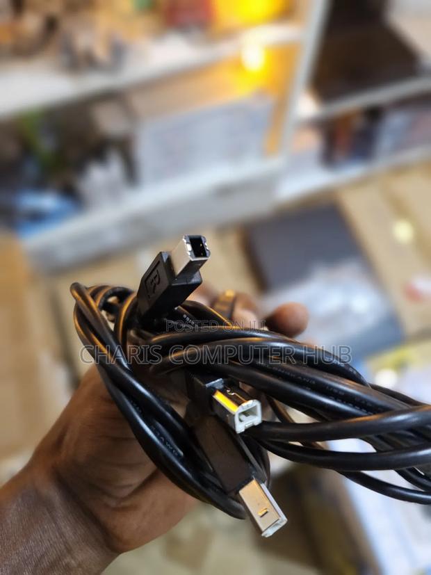 Original Home Used Printer Cable · Photo 1