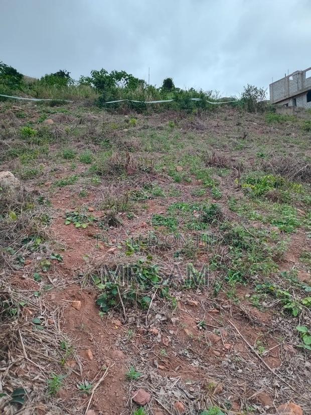 2plot of Land for Sale at Tuba Bortiano Hills · Photo 7