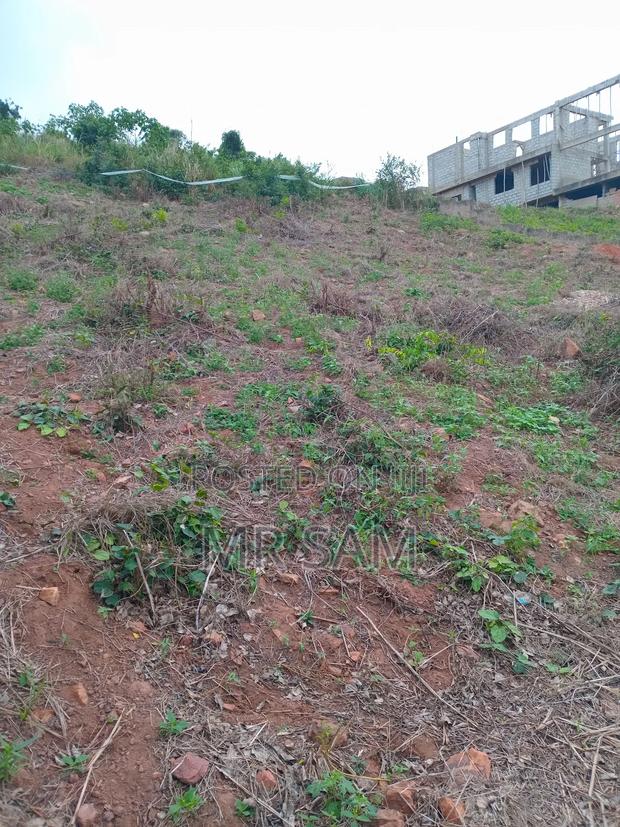 2plot of Land for Sale at Tuba Bortiano Hills · Photo 8