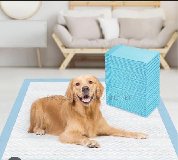 Extra Large ,Large Pee Pads · Photo 1