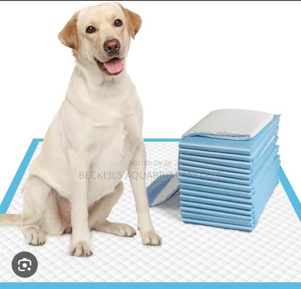 Extra Large ,Large Pee Pads · Photo 2