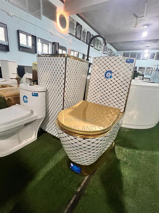 European_white and Gold Water Closet With Standing Basin Complete_wc · Photo 1