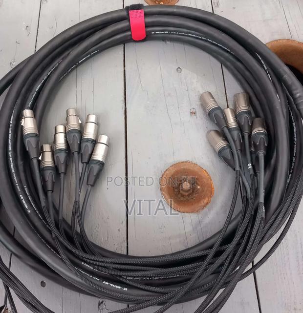 Audio Sssnake · Photo 1