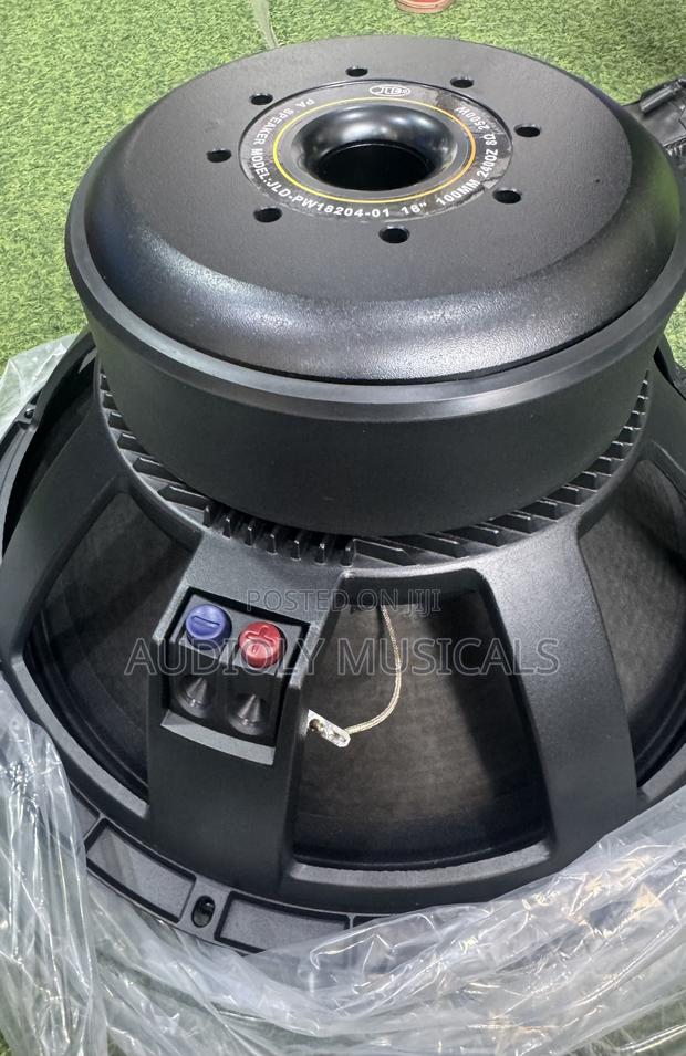 2500watt JLD Double Magnet Speaker · Photo 2