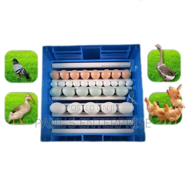 128egg I Incubator · Photo 2