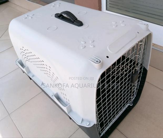 High Quality Plastic Dog Cage · Photo 1