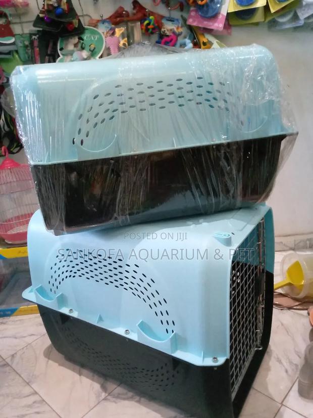 Quality Plastic Traveling Dog Cage · Photo 1