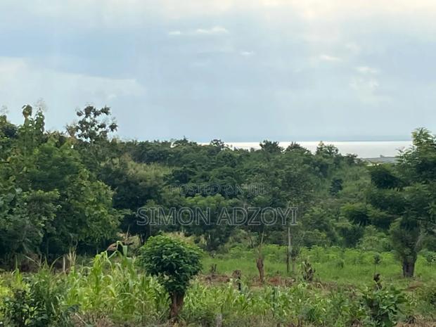 3000 Acres of Farm Land · Photo 4