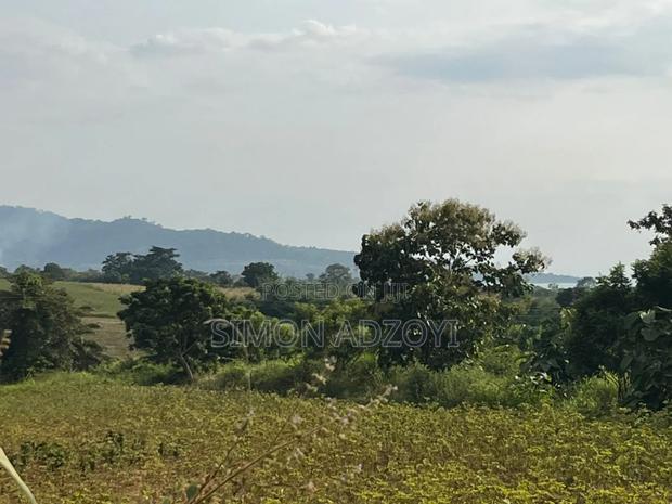 3000 Acres of Farm Land · Photo 6