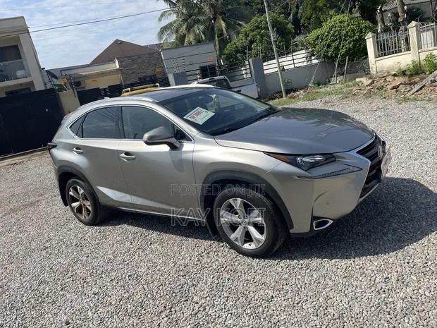 Lexus NX 200 AWD 2018 Gray · Photo 1