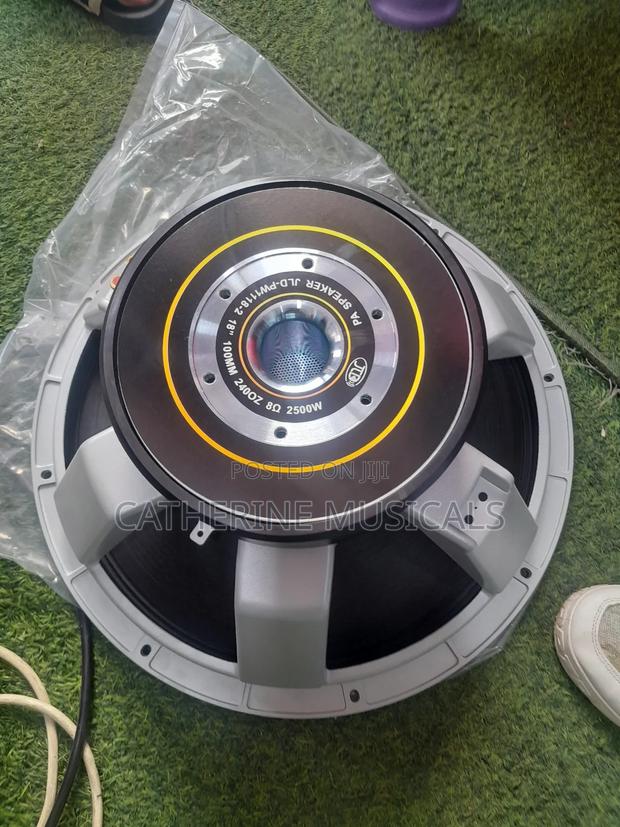 JLD 2500 Double Magnet Naked Speaker · Photo 2