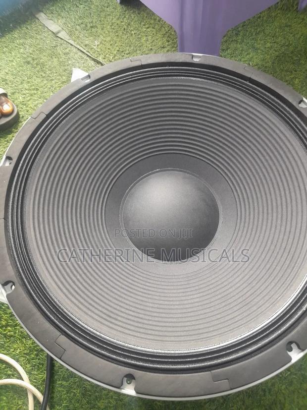 JLD 2500 Double Magnet Naked Speaker · Photo 4