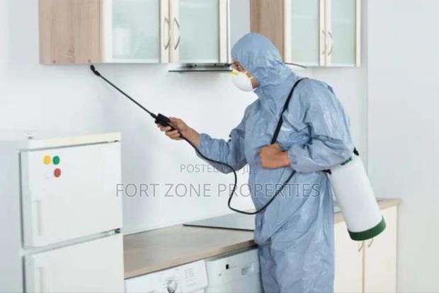 Atwima District Fumigation of Coach,Termites,Snakes Etc · Photo 1
