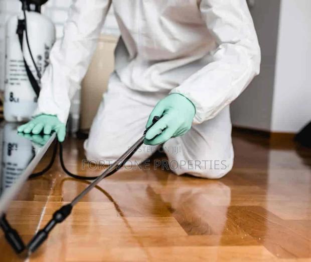 Atwima District Fumigation of Coach,Termites,Snakes Etc · Photo 2