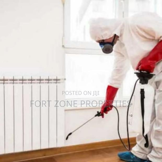 Atwima District Fumigation of Coach,Termites,Snakes Etc · Photo 4