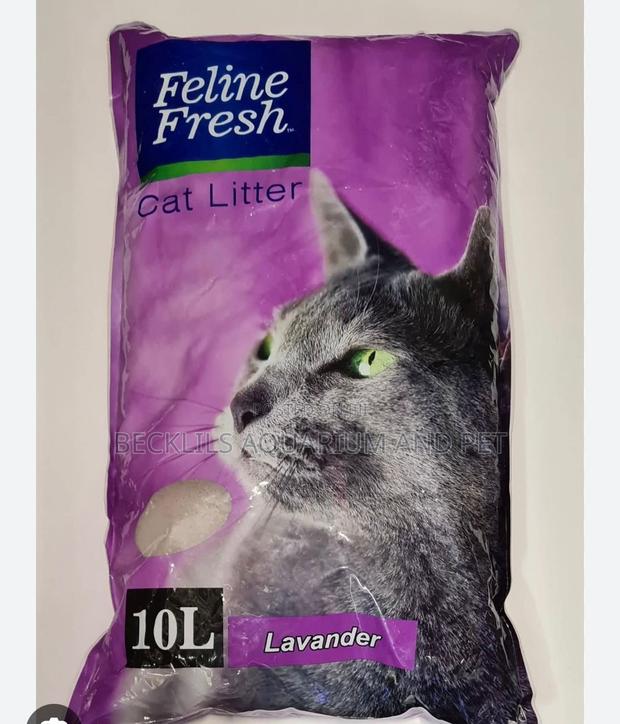 10l Cat Liter Sand ( Bentonite and Clamping) · Photo 1