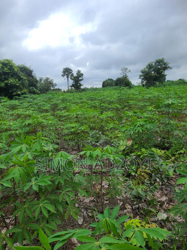 6000 Acres Available for Long Term Lease · Photo 2
