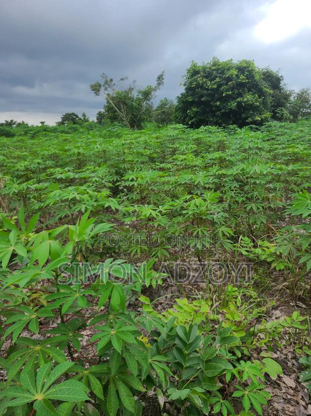 6000 Acres Available for Long Term Lease · Photo 3