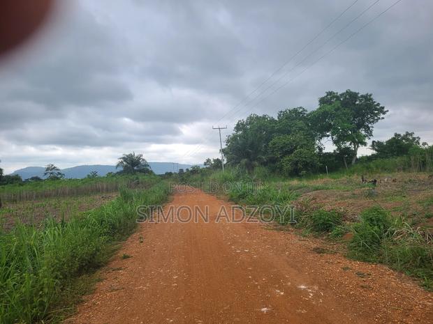 6000 Acres Available for Long Term Lease · Photo 4