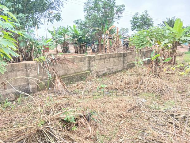 Land for Sale at Tech Apemso Near Knust Campus · Photo 2
