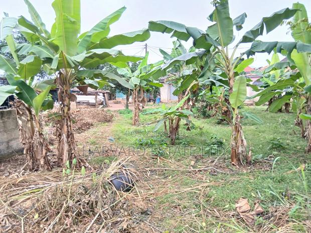 Land for Sale at Tech Apemso Near Knust Campus · Photo 3