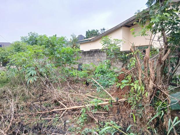 Land for Sale at Tech Apemso Near Knust Campus · Photo 4