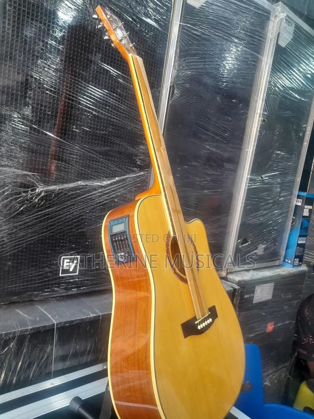 Gipson Semi- Acoustic Guitar ( Brown Color) · Photo 2