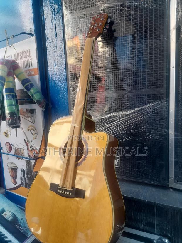 Gipson Semi- Acoustic Guitar ( Brown Color) · Photo 3