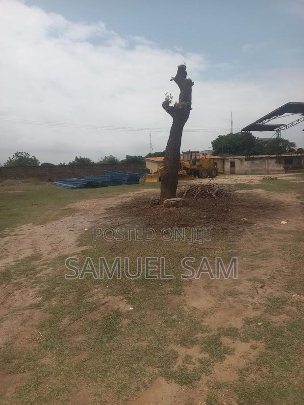 Three Acres of Land for Sale at Tema Com.9 · Photo 4