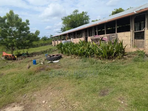 Poultry/ Goat/ Piggery · Photo 4