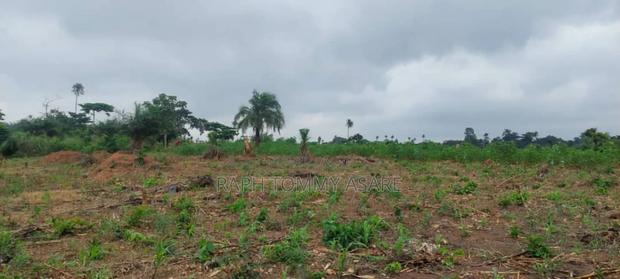30 Plots of Land for Sale at Kwabere Kasaam With No Litigation · Photo 3