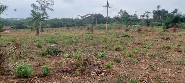 30 Plots of Land for Sale at Kwabere Kasaam With No Litigation · Photo 4