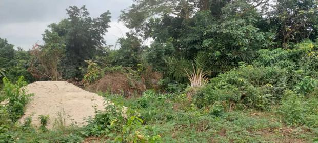 30 Plots of Land for Sale at Kwabere Kasaam With No Litigation · Photo 5
