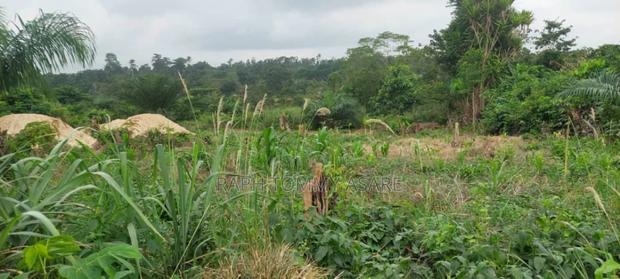 30 Plots of Land for Sale at Kwabere Kasaam With No Litigation · Photo 7