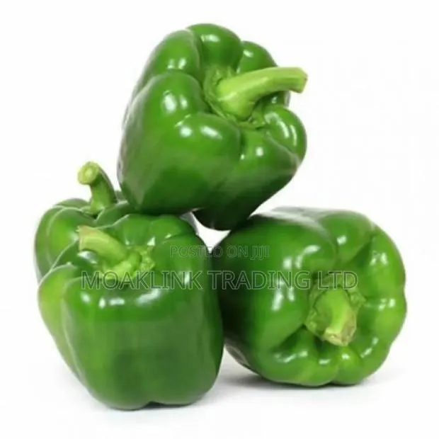 Green Bell Pepper (Sweet Pepper) · Photo 1