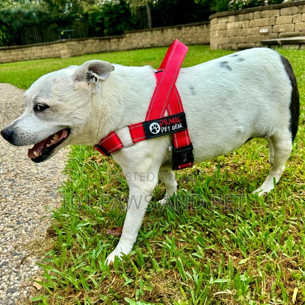 Primal Pet Gear · Photo 4
