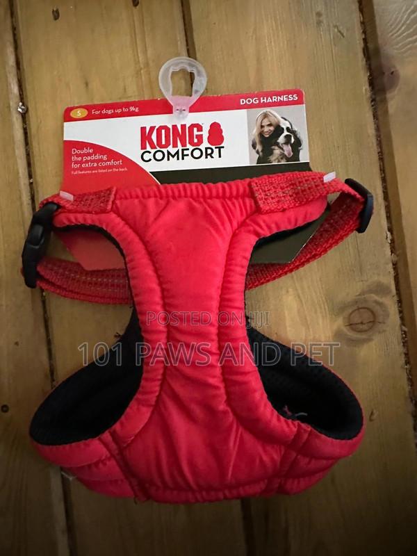 Kong Harness · Photo 1