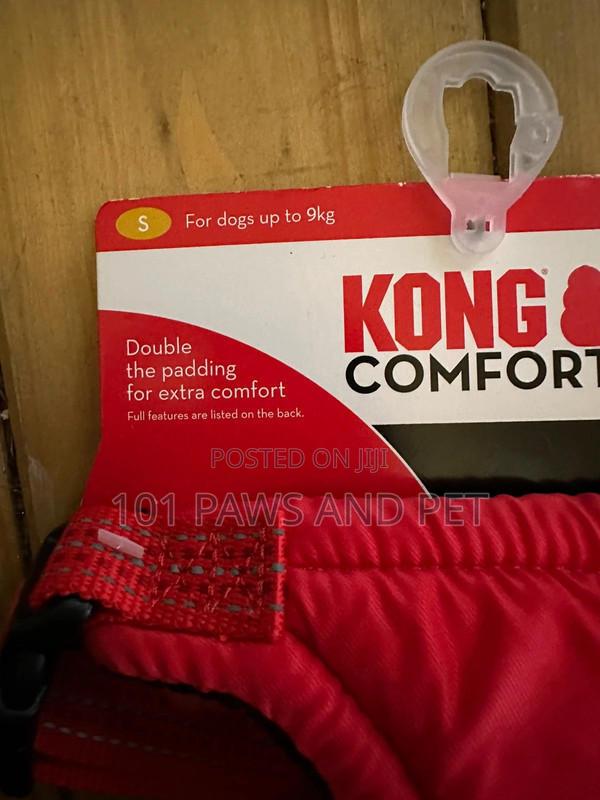Kong Harness · Photo 3