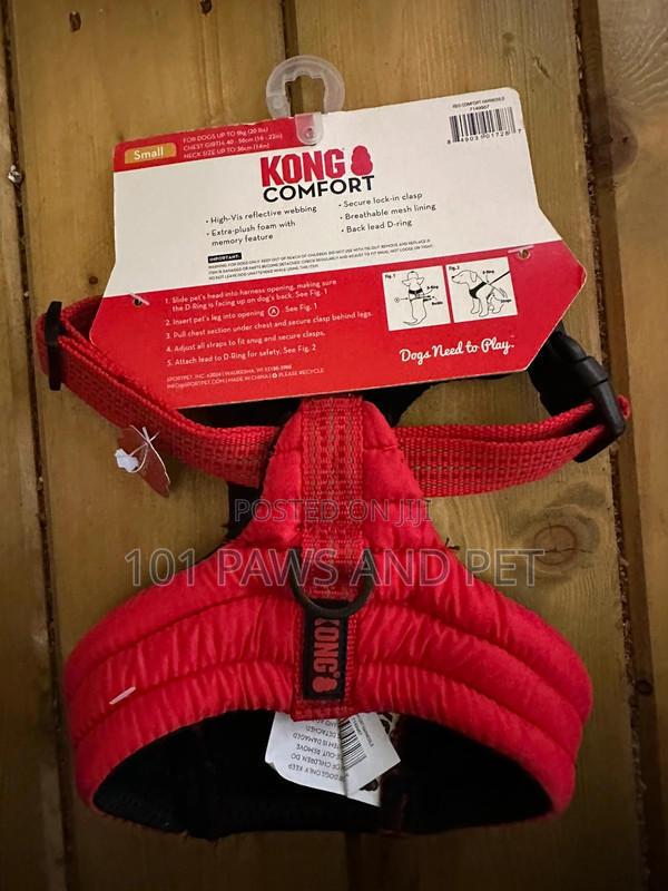 Kong Harness · Photo 4