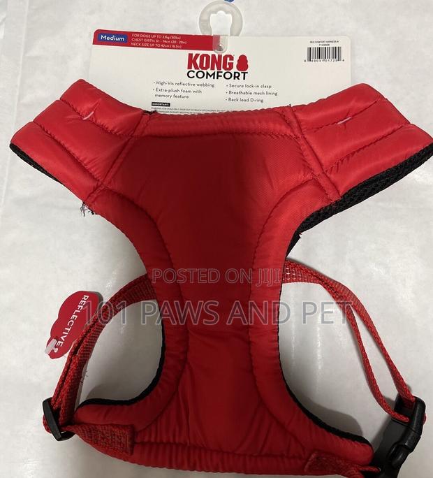 Kong Harness · Photo 2