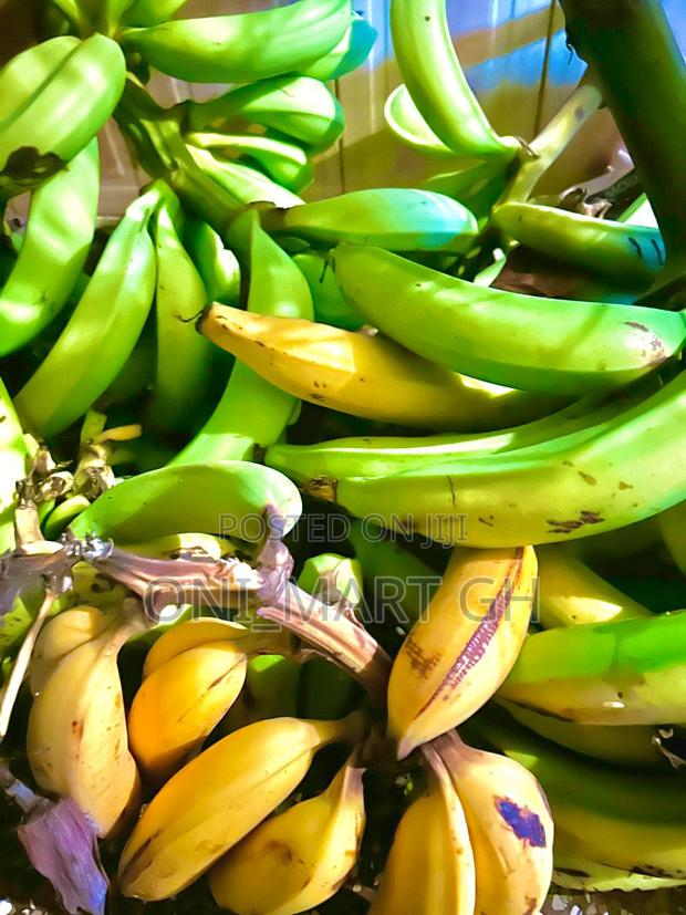 Plantains .Ripe and Unripe · Photo 4