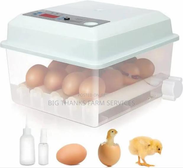 Egg Incubator, 64 Eggs Capacity,Dual Power · Photo 1