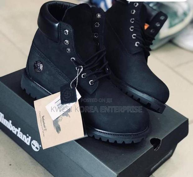 Timberland Sneaker With Box · Photo 2
