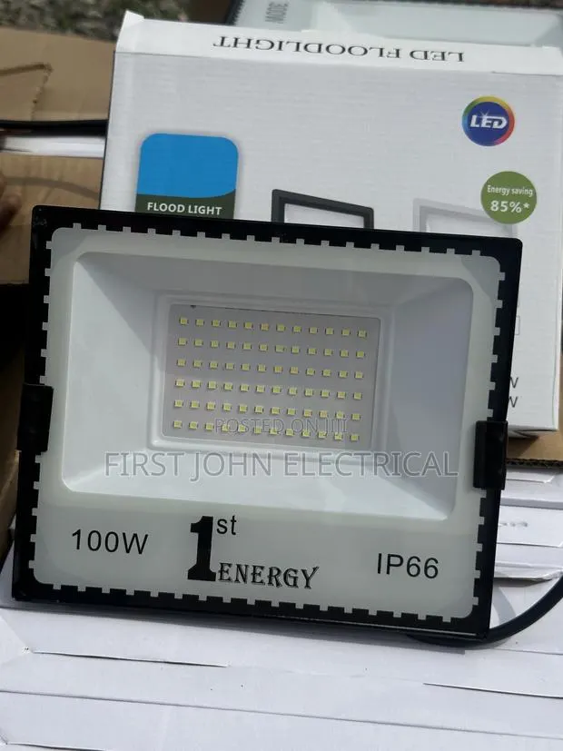 100 Watt Flood Light · Photo 1